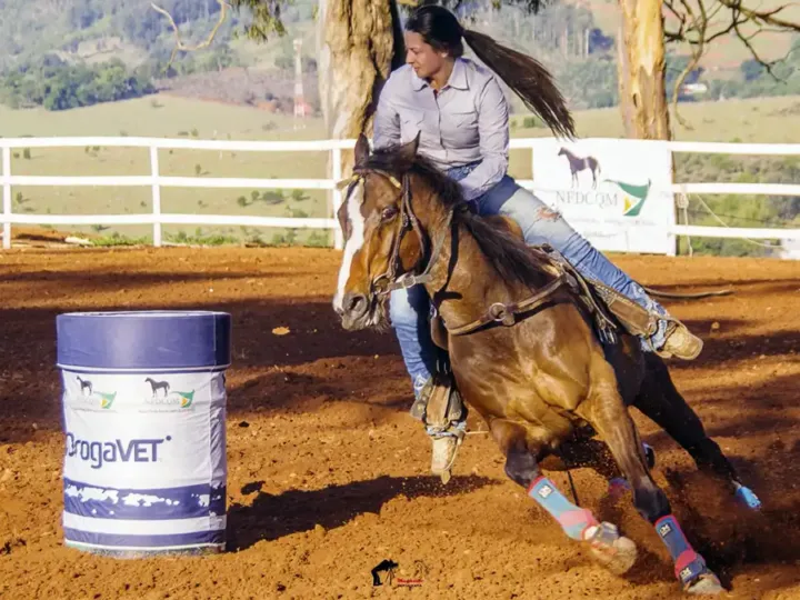 Campeonato de Cavalo Quarto de Milha ocorre no Posto de Monta no sábado