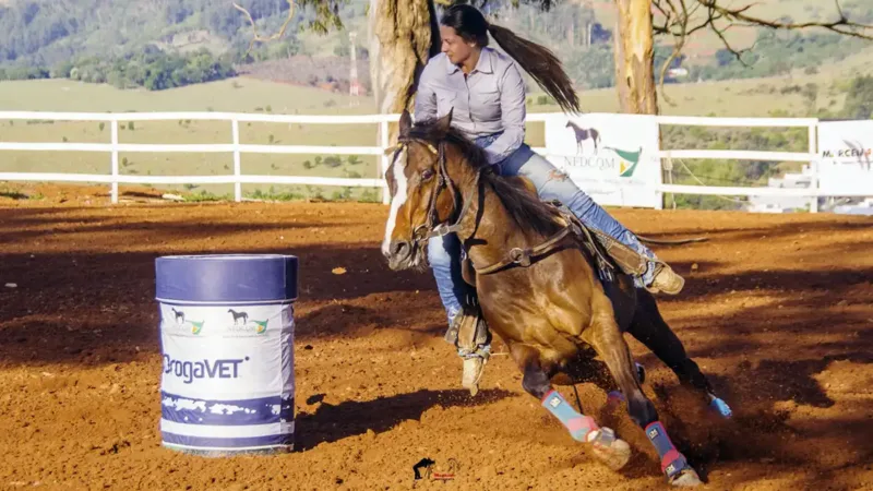 Campeonato de Cavalo Quarto de Milha ocorre no Posto de Monta no sábado