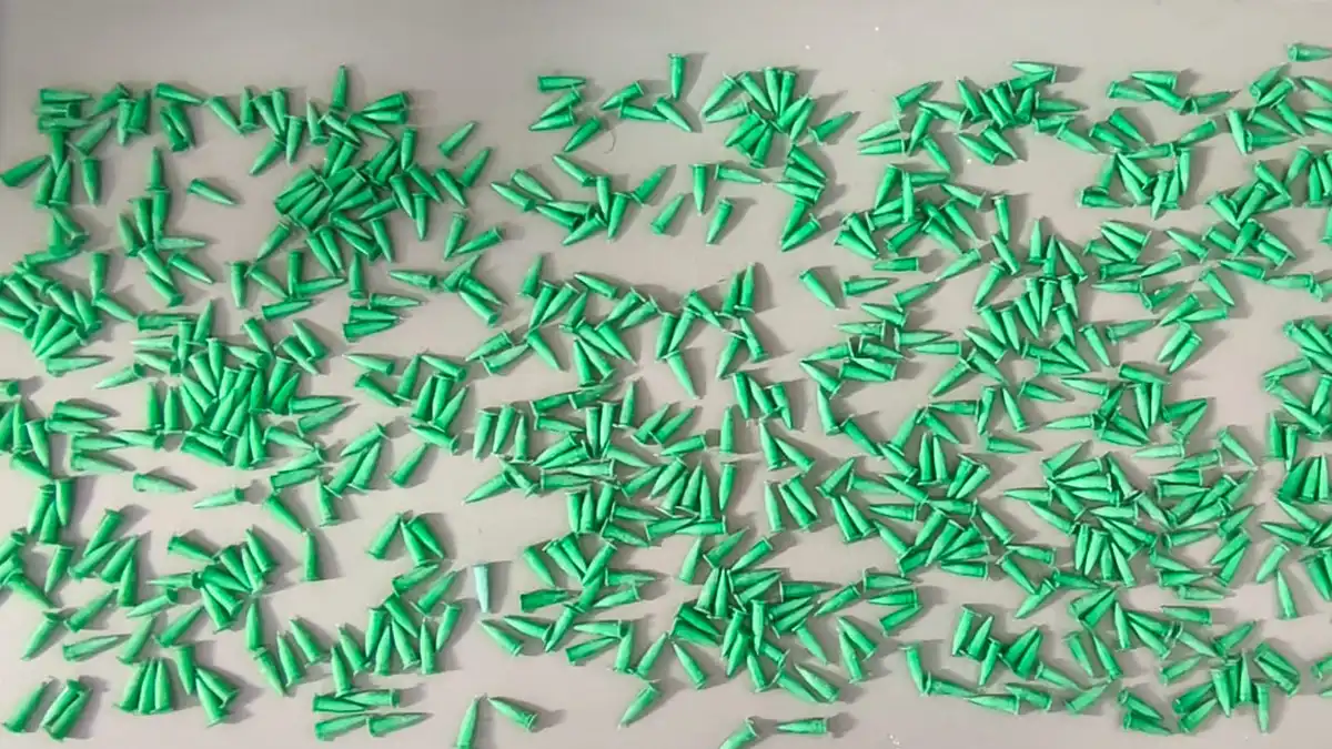 Mulher é presa com cerca de 1 kg de cocaína no Cruzeiro