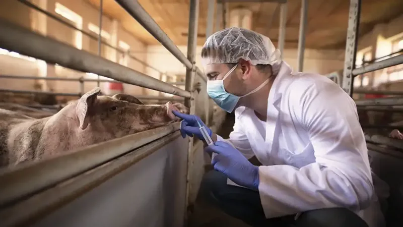 Cursos gratuitos de Inseminação Artificial estão com inscrições abertas