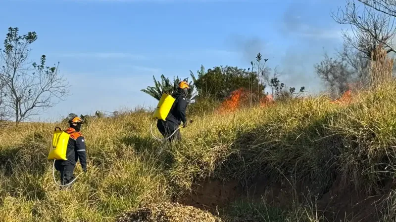 Incêndio atinge área de mata em Bragança Paulista