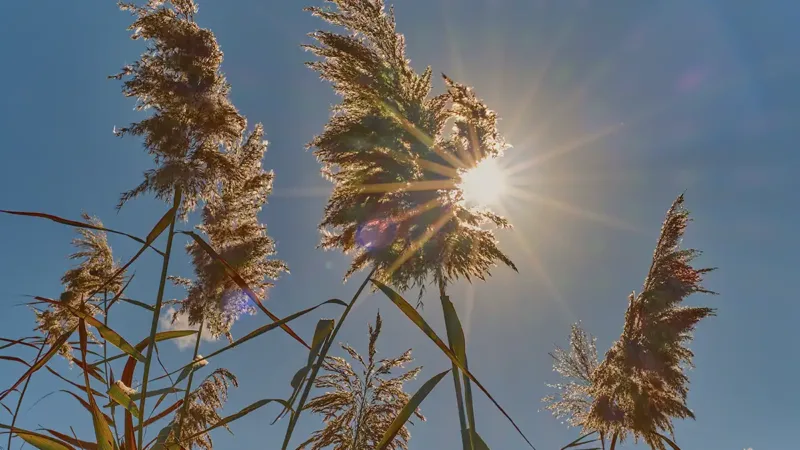 Previsão indica semana quente com máxima de 30°C em Bragança Paulista