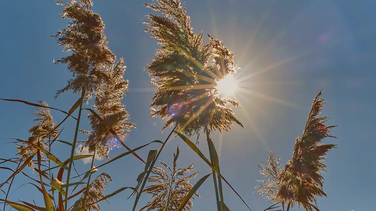 Previsão indica semana quente com máxima de 30°C em Bragança Paulista