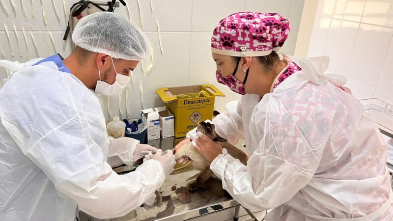 Castramóvel abre novas inscrições nesta quarta em Bragança