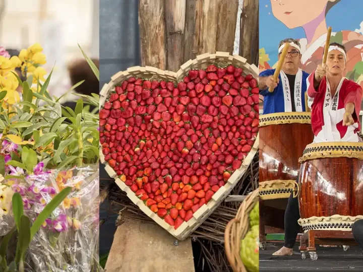 44ª Festa de Flores e Morangos de Atibaia acontece em setembro