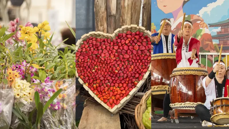 44ª Festa de Flores e Morangos de Atibaia acontece em setembro
