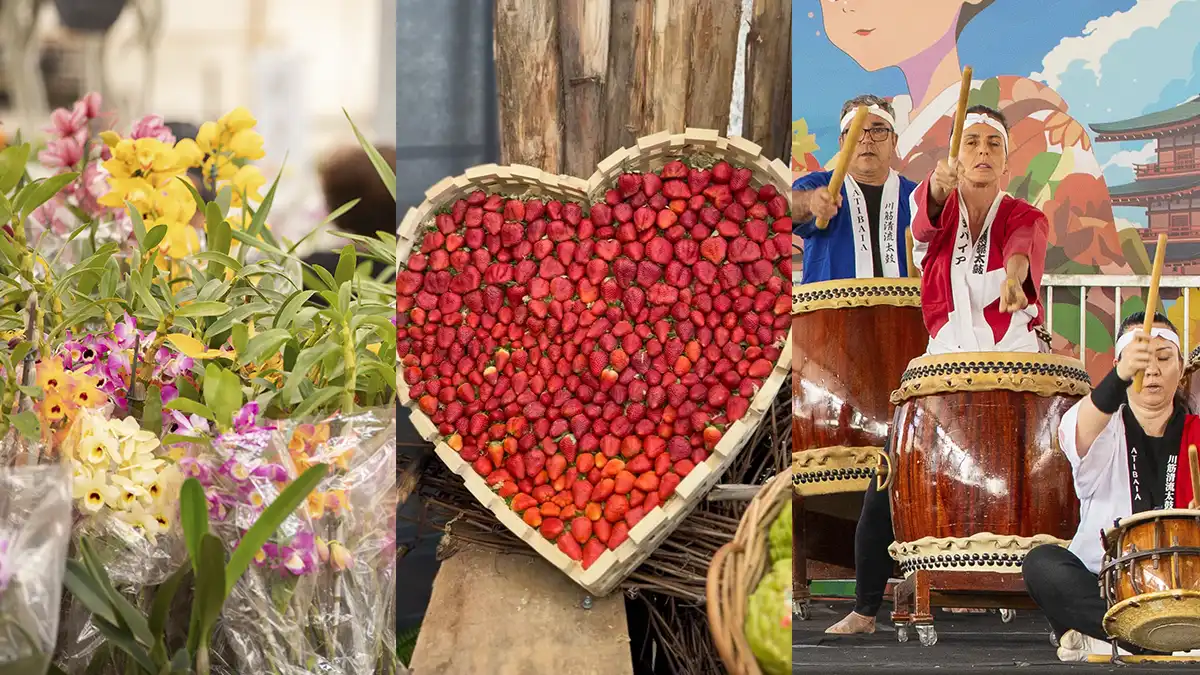 44ª Festa de Flores e Morangos de Atibaia acontece em setembro