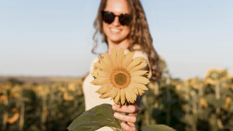 Primeiro final de semana da primavera terá máxima de 30ºC em Bragança