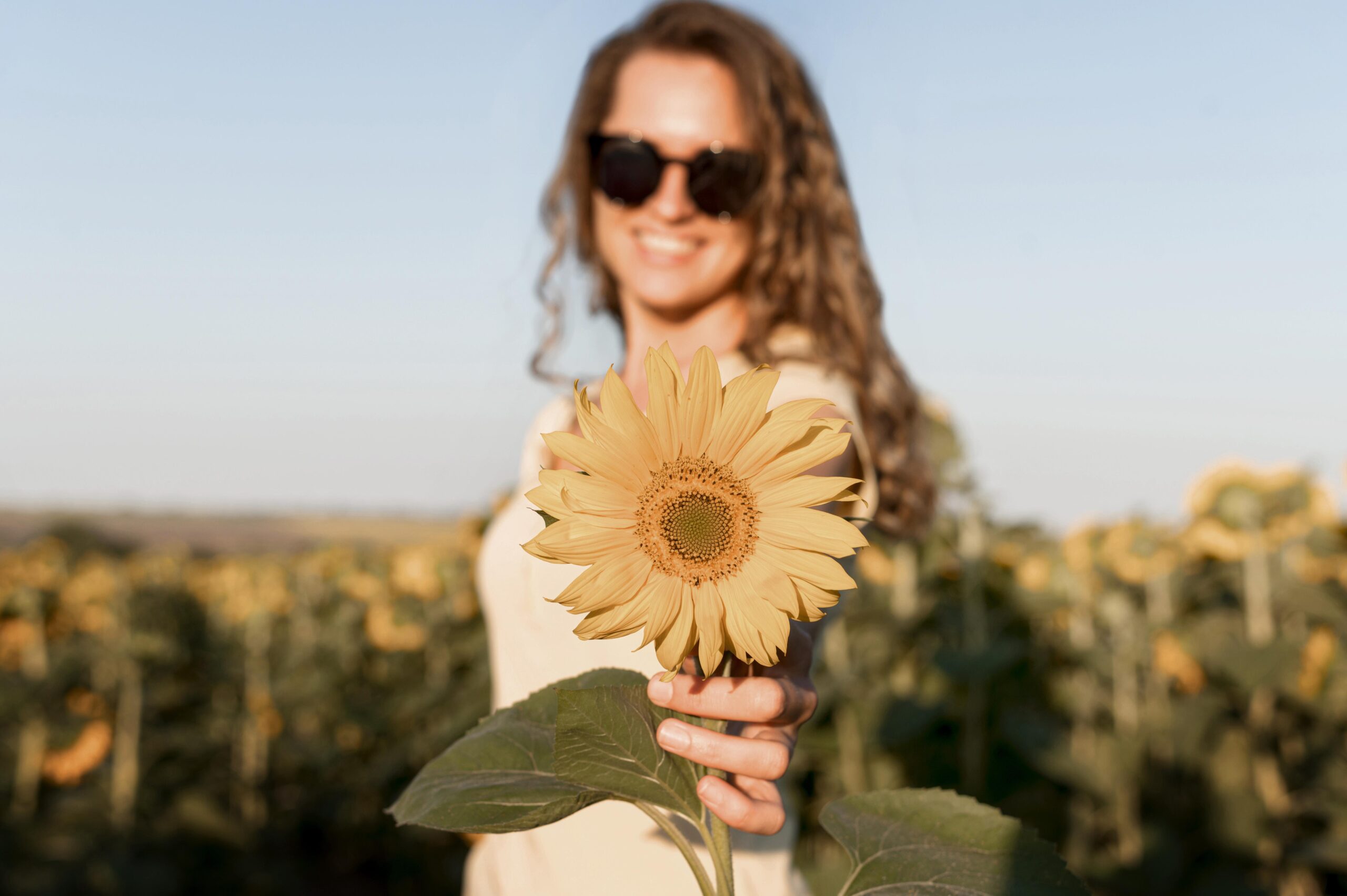 Primeiro final de semana da primavera terá máxima de 30ºC em Bragança