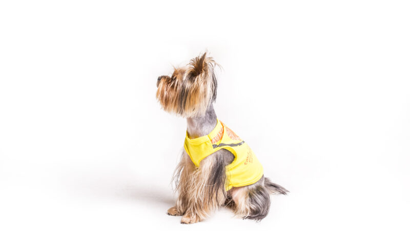 Inscrições estão abertas para curso de Modelagem e Confecção de Moda PET