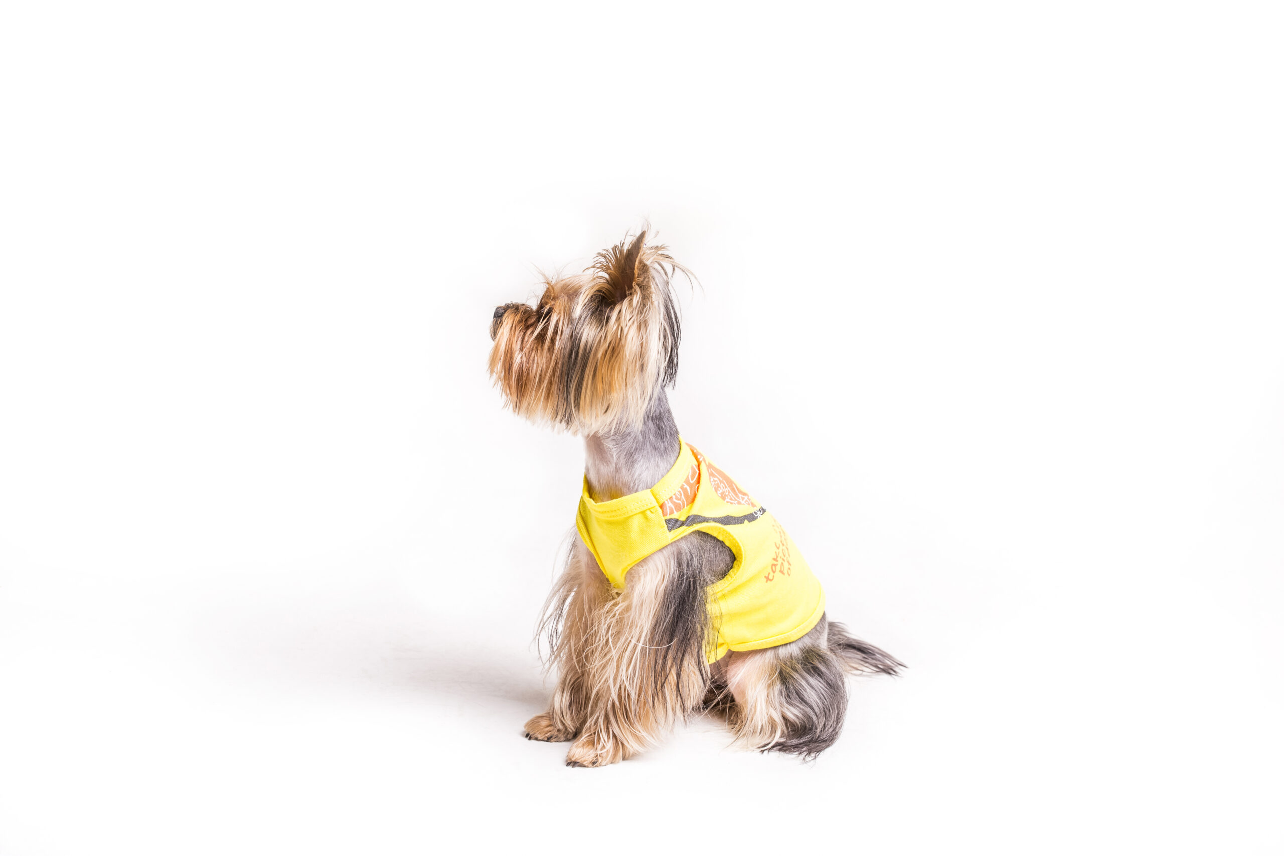 Inscrições estão abertas para curso de Modelagem e Confecção de Moda PET